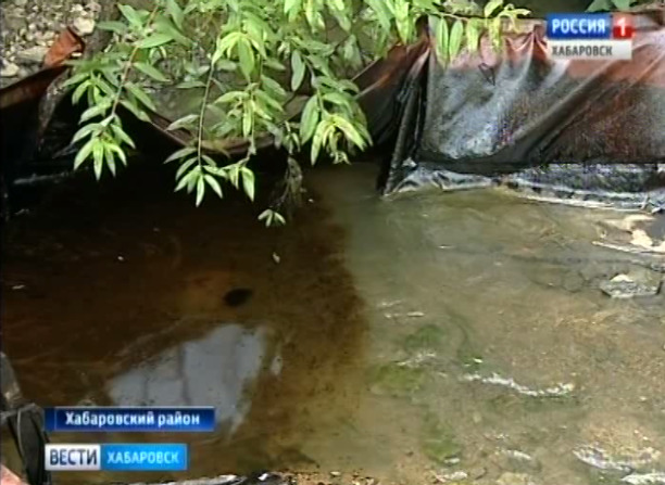 Мазут в безымянном ручье
