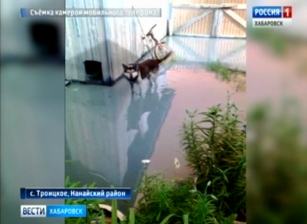 Компенсация за потоп