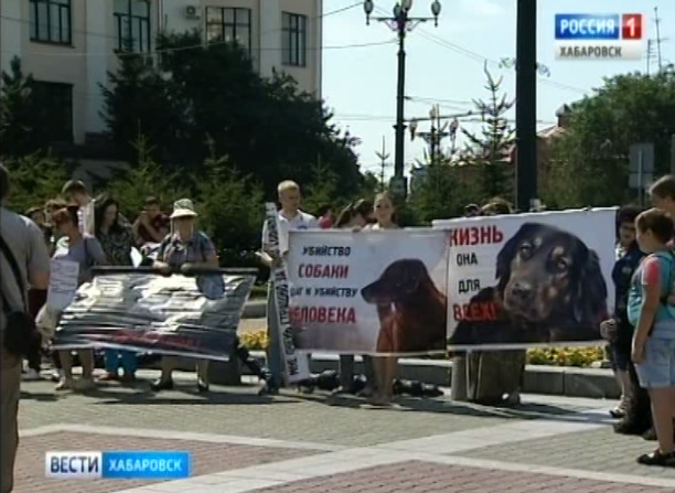 Митинг против жестокого обращения с животными