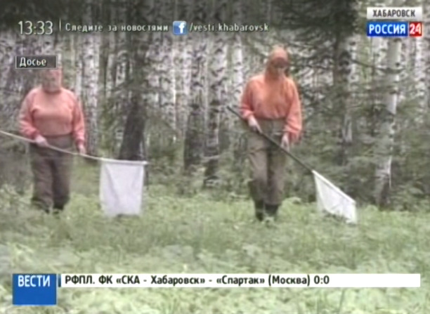Клещевой энцефалит