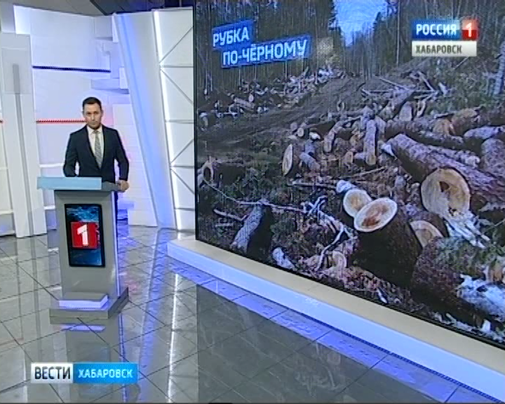 Черные лесорубы в Большехехцирском заповеднике