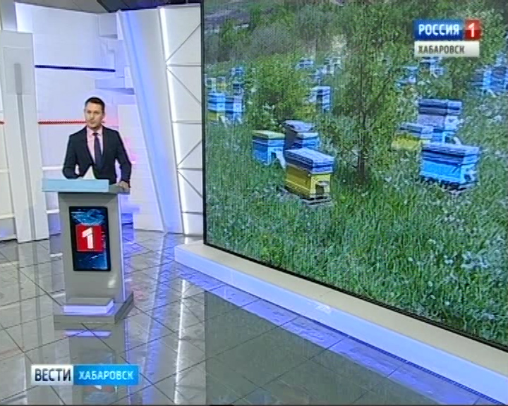 Проект гектар: Пасека на ДВ-гектаре