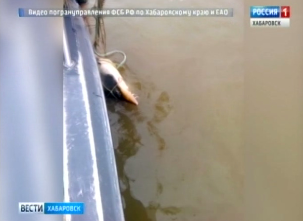 Задержаны браконьеры