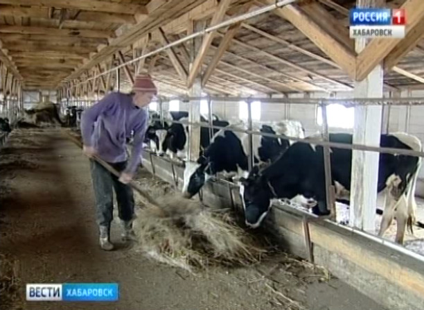 «Котиково» продали