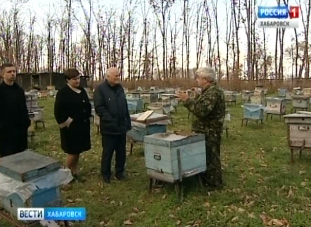 Закон для пчеловодов