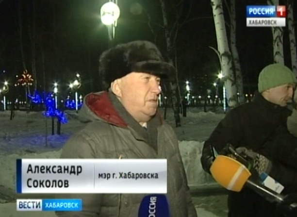 Новогодние городки