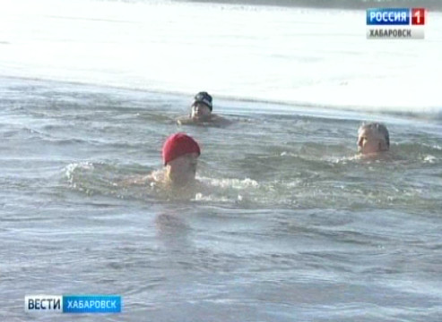 Моржи на Амуре