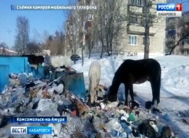 На свободном выпасе