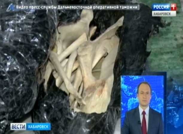 Пресечена контрабанда дериватов