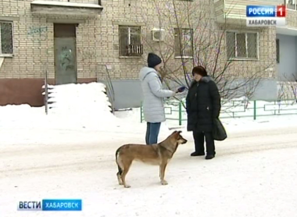 Жестокое обращение с животным