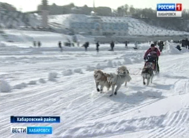 Амурская метель 2018