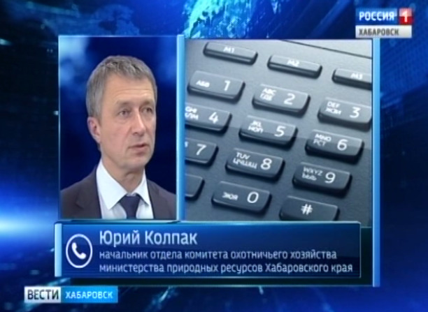 Тигрицу подстрелили