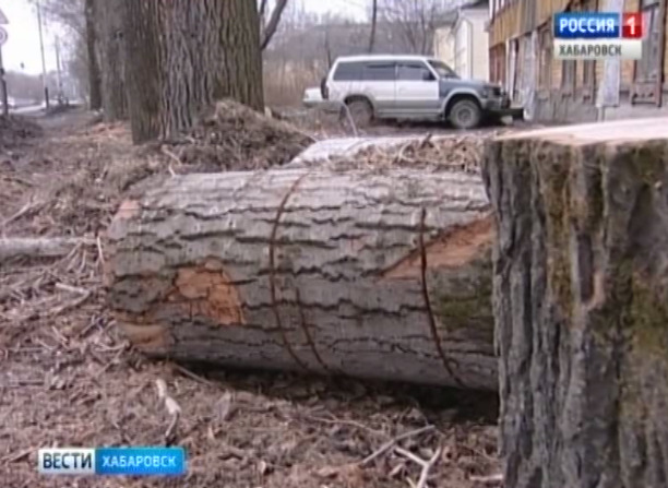 Город в грязи