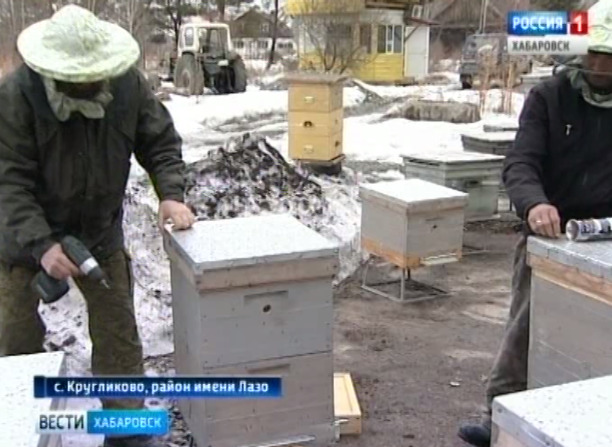 Пасека на «Дальневосточном гектаре»