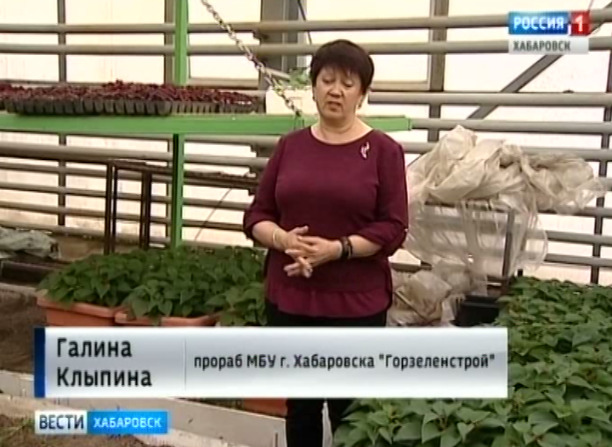 Цветы для украшения города