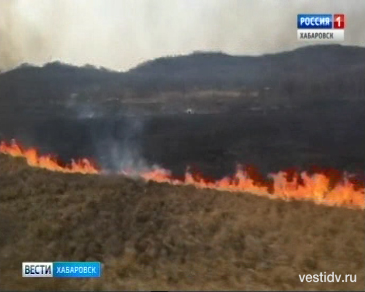 Пожары вокруг Хабаровска и в Амурской области