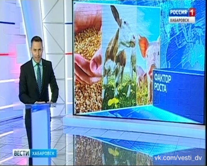 Гектарщики из лазо