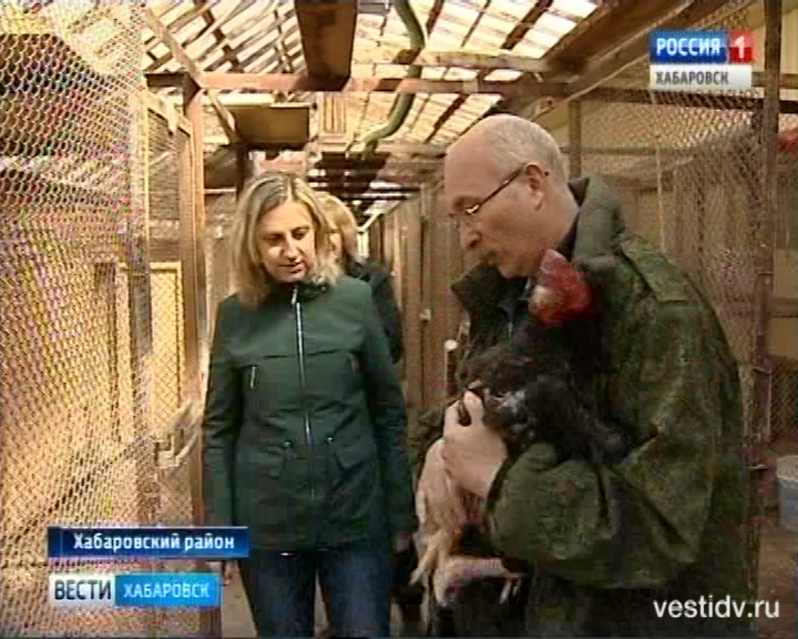 Эксклюзивные птицы