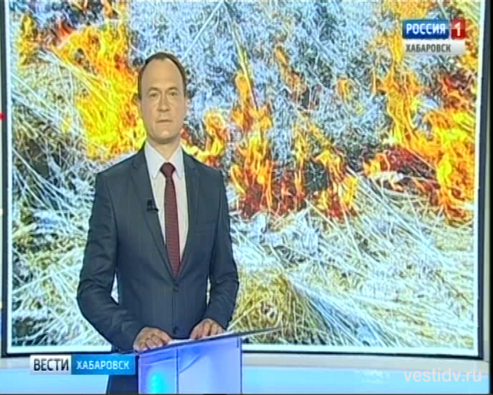 Рейд по дачам