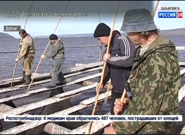 Планы на добычу рыбы