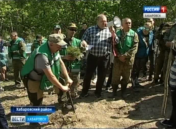 Лесопосадки