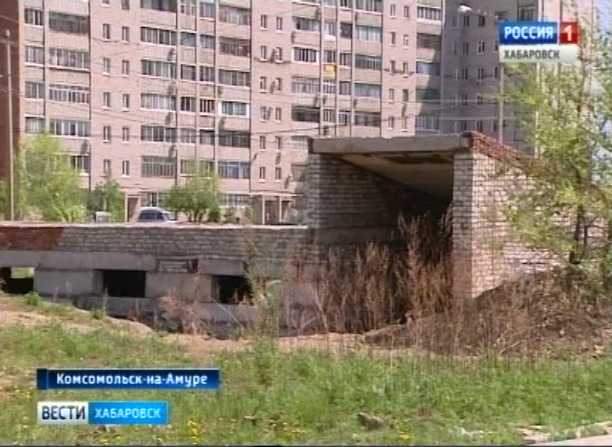 В Комсомольске забили собаку досмерти
