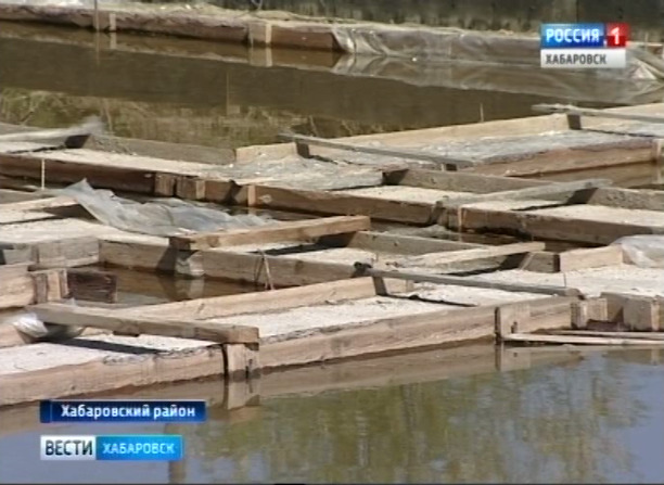 Уголовное дело по долевому строительству в Тополево