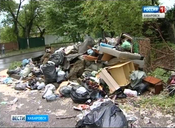 Свалки в частном секторе