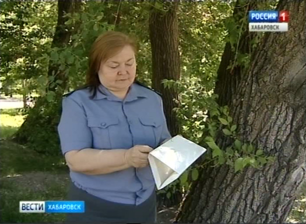 Ловушки для насекомых