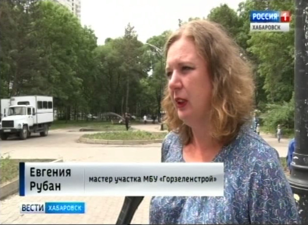 Хабаровчане воруют цветы