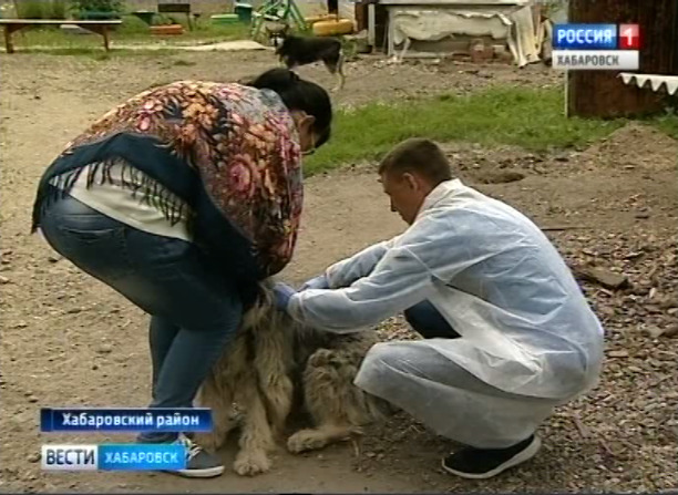 Вакцинация от бешенства