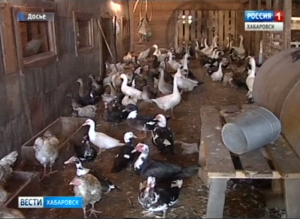 Поддержка начинающих фермеров