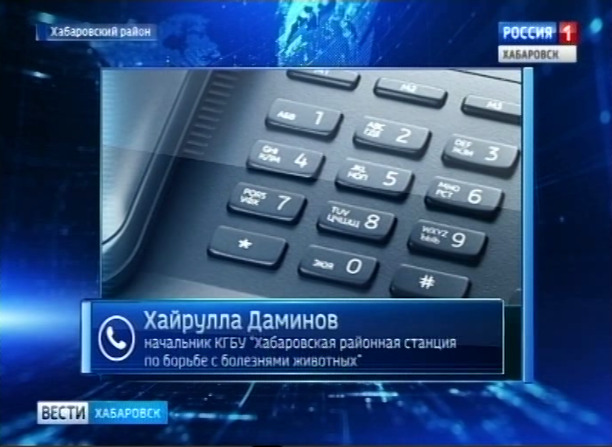Подтвердился шестой случай бешенства
