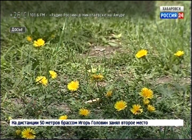 Укусов клещей стало больше