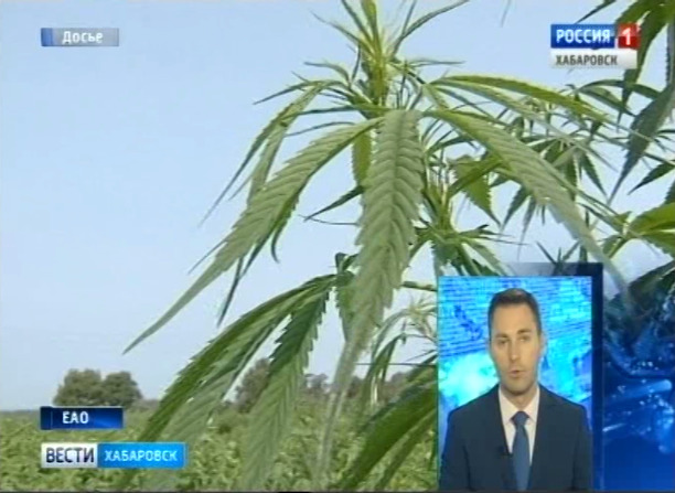 Похитители грибников под суд