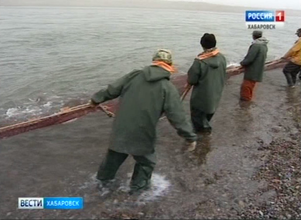Путина