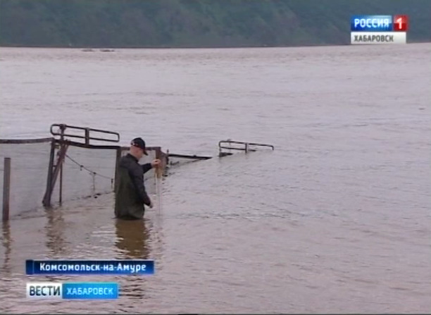 Мониторинг Амура