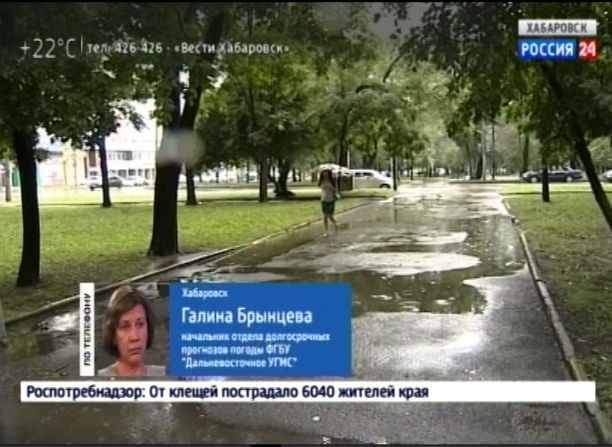 Прогноз погоды