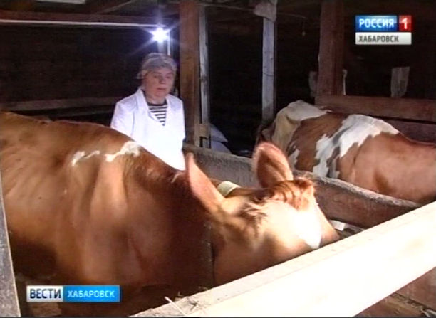Первый мобильный пункт искусственного осеменения