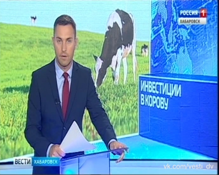 Инвестиции в корову