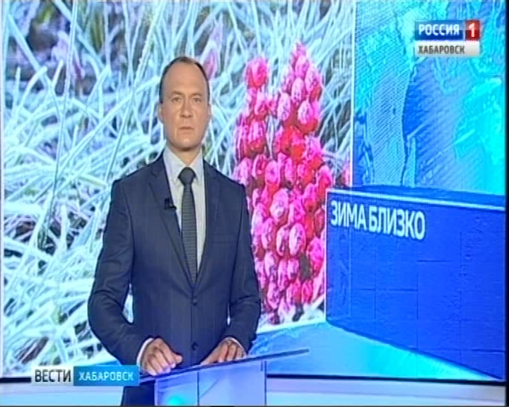 Заморозки