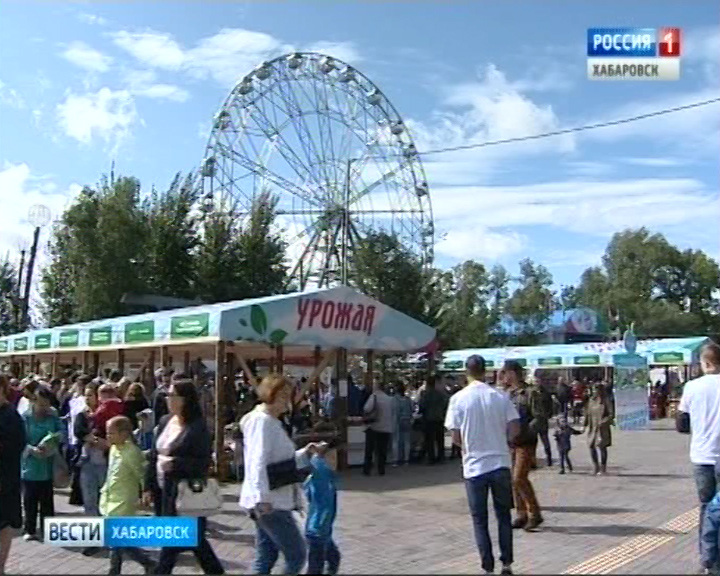 Праздник урожая 2018
