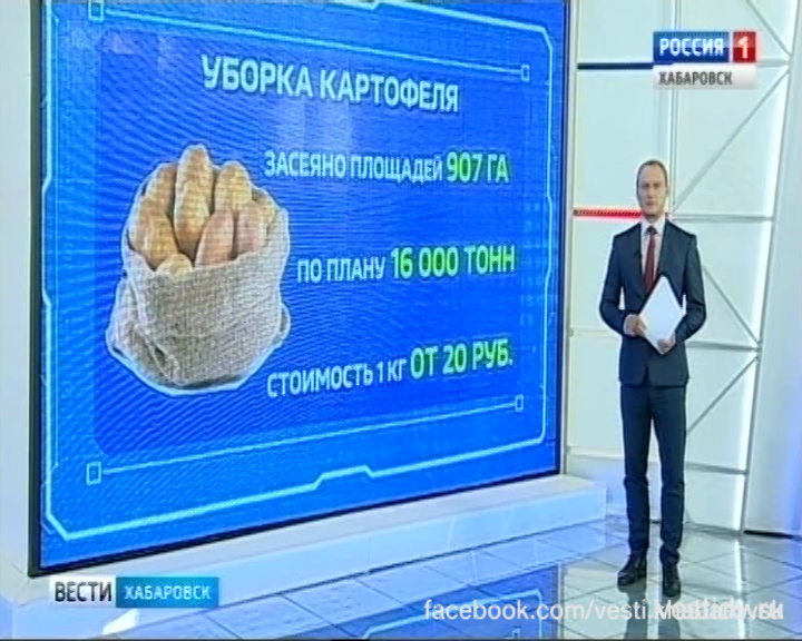 Уборка картофеля