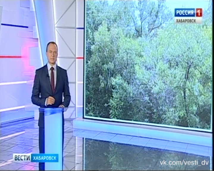 Питомник Лукашова благоустроят