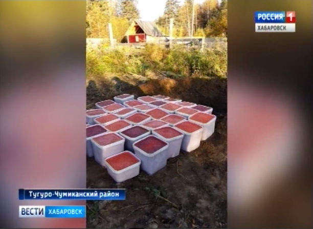 Тонну красной икры уничтожили