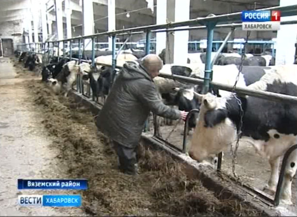Реформа сельского хозяйства в Хабаровском крае