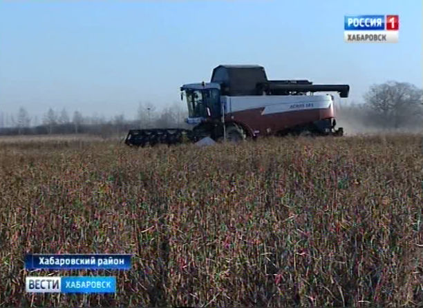 Урожай сои 2018