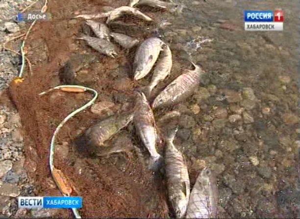 Лов красной рыбы