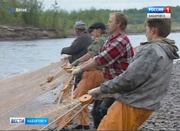 Будет ли летняя путина?