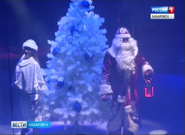 Новогодние цирковые представления